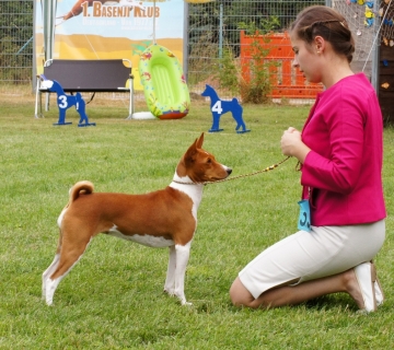 BKD Club Show Germany