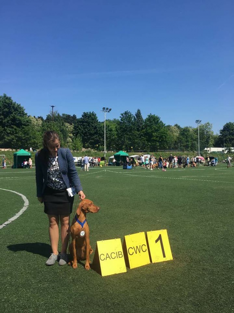 12-13.05.18 CACIB Ł&oacute;dź