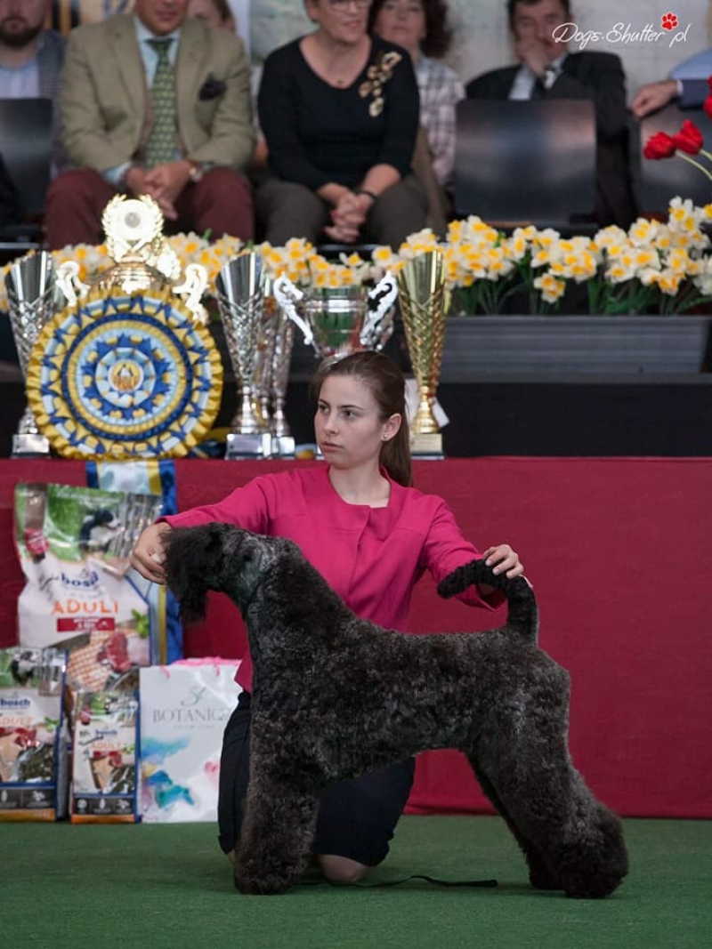 28-29.04.18 IDS Opole