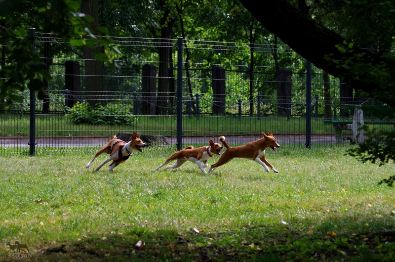 New photos and galleries!